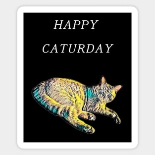 Happy caturday - Charlie 1 Magnet